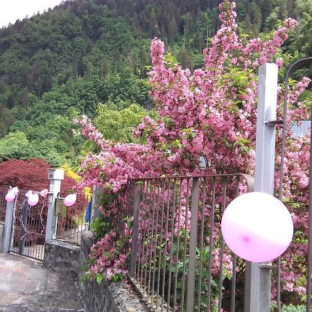 Casa Per Ferie Paola Di Rosa Hotel Arta Terme מראה חיצוני תמונה