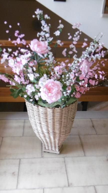 Casa Per Ferie Paola Di Rosa Hotel Arta Terme מראה חיצוני תמונה